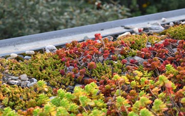 the cost of Wester Aberchalder green roof installation