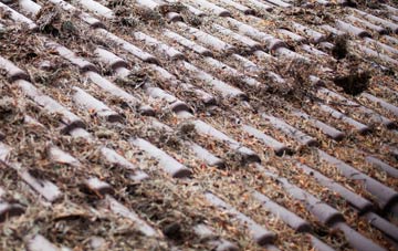 Wester Aberchalder roof cleaning companies