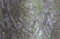 Wester Aberchalder fibreglass roof work