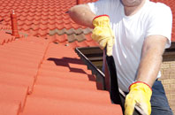 Wester Aberchalder roof cleaners